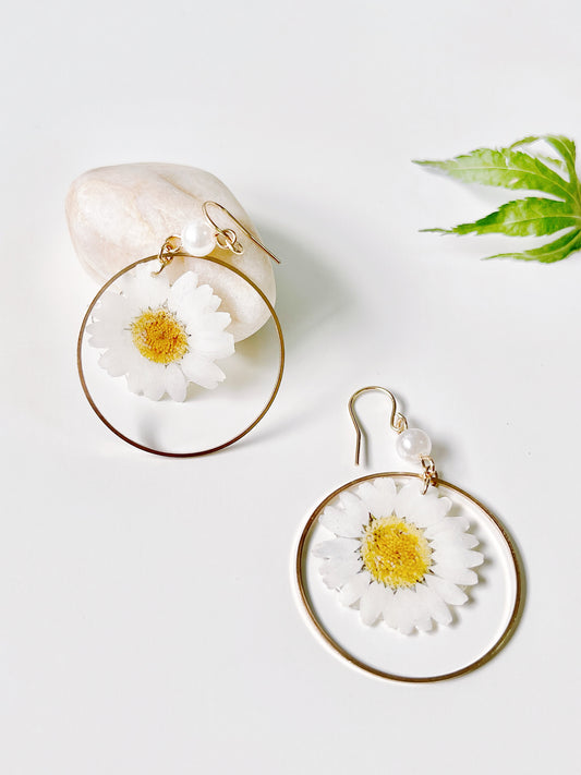 White Daisy Dried Flower with Pearl Drop Earrings