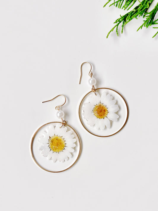 White Daisy Dried Flower with Pearl Drop Earrings