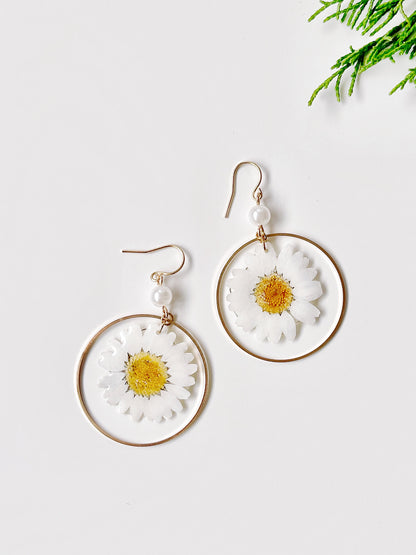 White Daisy Dried Flower with Pearl Drop Earrings
