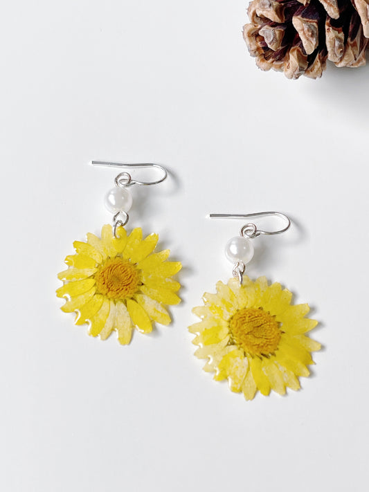 Yellow Daisy Dried Flower with Pearl Drop Earrings