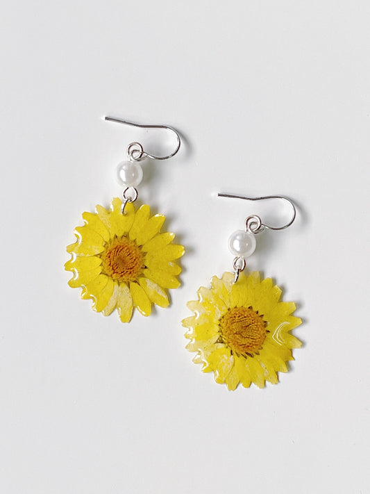 Yellow Daisy Dried Flower with Pearl Drop Earrings